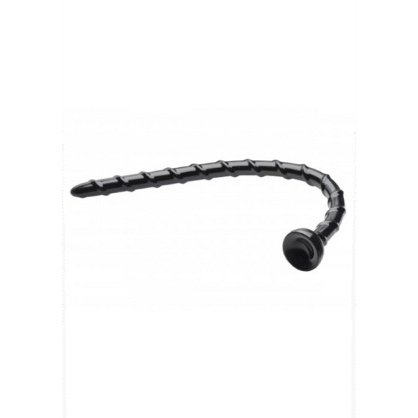 Vertebrale Slang - 18 / 46 cm - Afbeelding 4