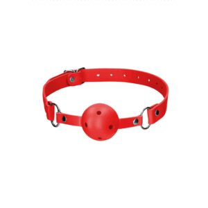 Ball Gag