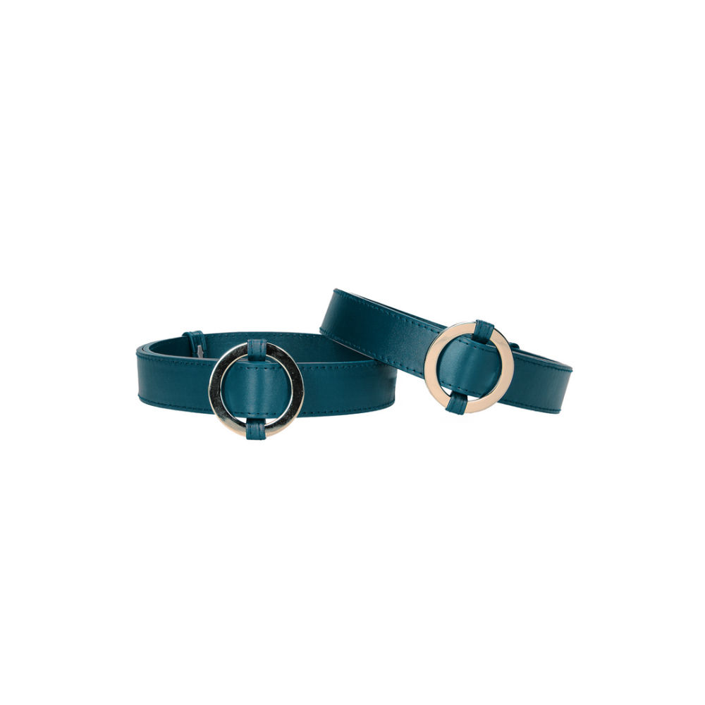 Dijbanden - Afbeelding 4