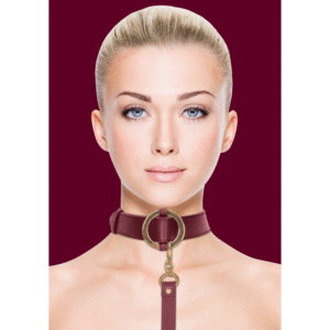 Luxe Halsband met Leash