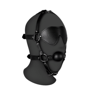 Blindfolded Head Harness met Solid Ball Gag - Zwart
