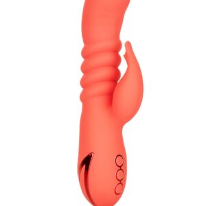 Orange County Cutie