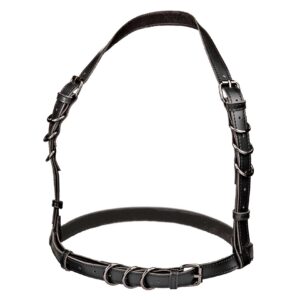 Halter Buckle Harness