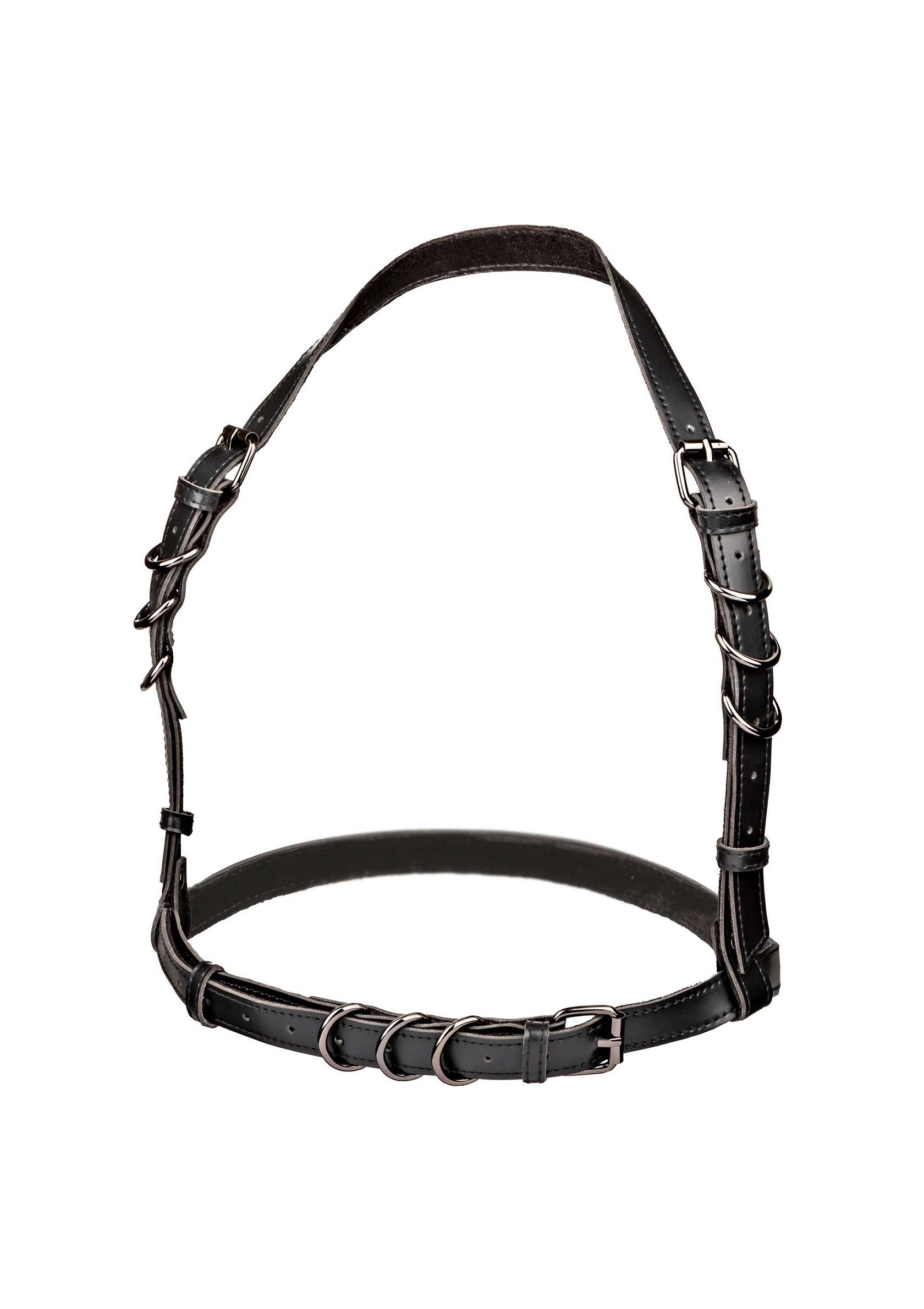 Halter Buckle Harness Plus