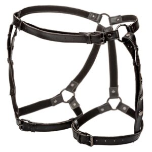 Riding Thigh Harness Plus