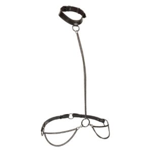 Chain Halter & Collar Plus