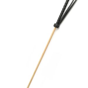 The Obedience Cane