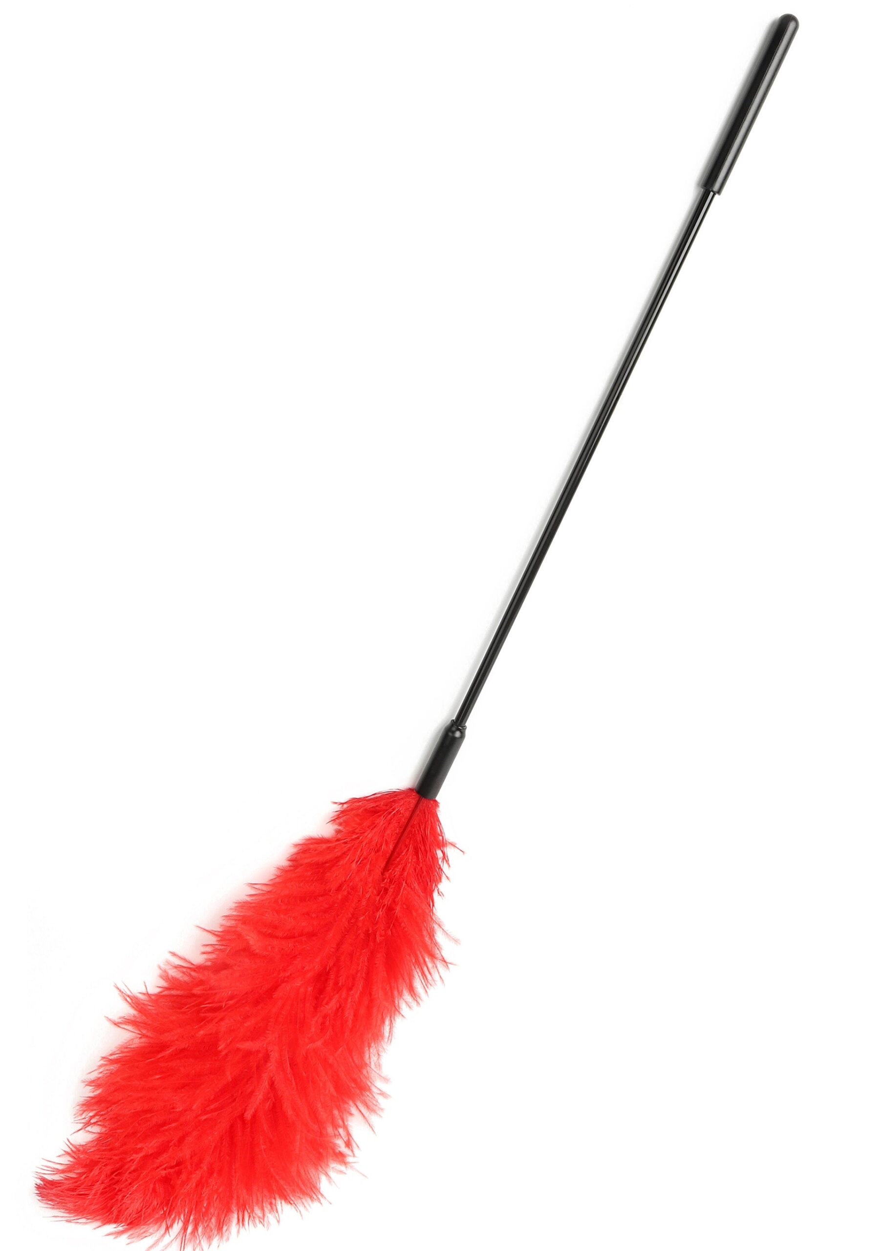 Double Feather Tickler