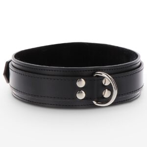 Heavy D-Ring Collar