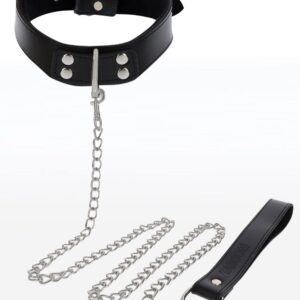 Elegant Collar and Chain Leash