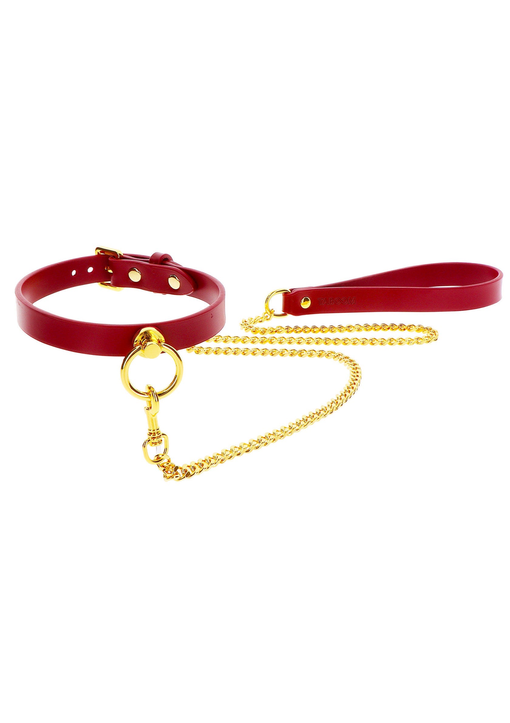 O-Ring Collar and Chain Leash - Afbeelding 4
