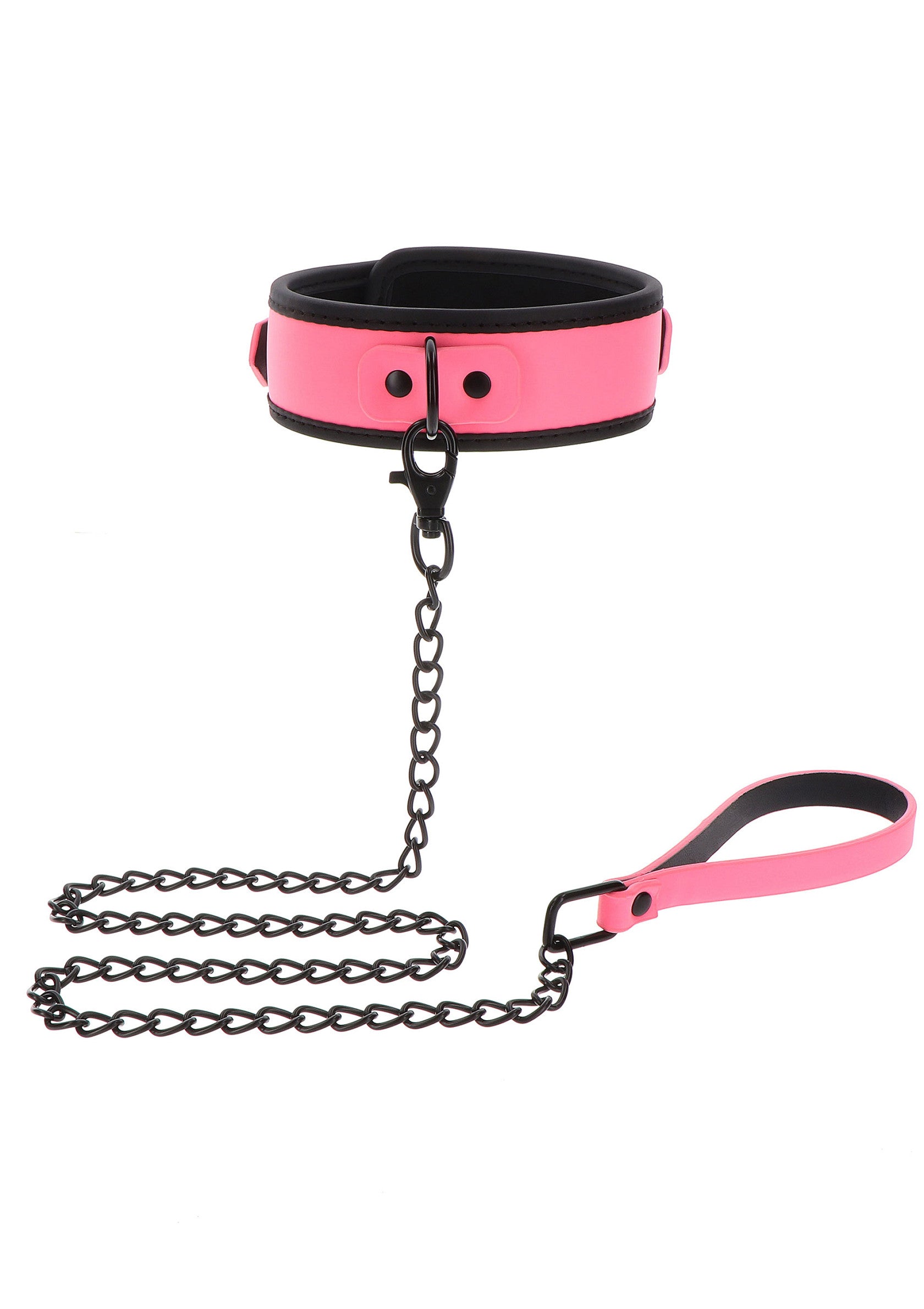 Collar and Chain Leash - Afbeelding 4