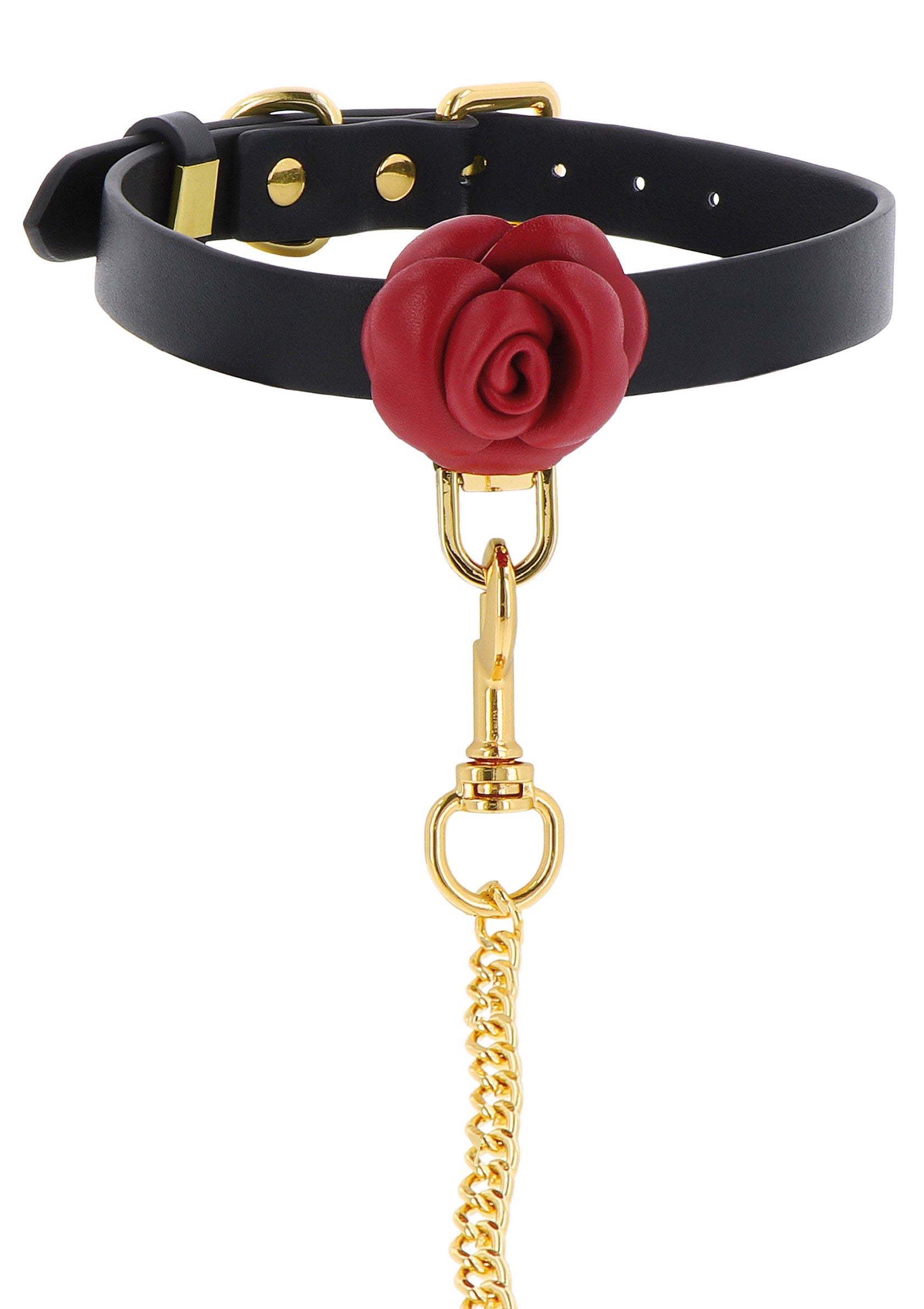 Wild Roses Collar & Leash - Afbeelding 5