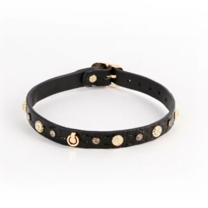 Alina Collar