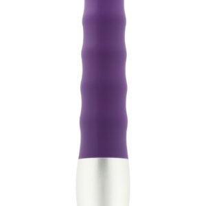 Discretion Ribbed Vibrator