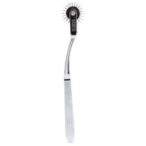Metal Wartenberg Pinwheel