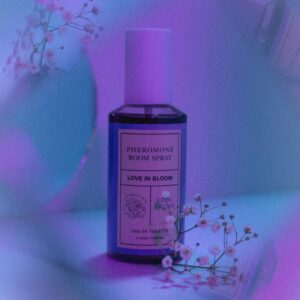 Room Phero Attract Him 150 ml